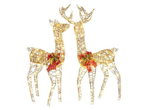 Coast 2-Delige Verlichte Rendier Kerstdecoratie - 200 LED -, Huis en Inrichting, Woonaccessoires | Overige, Nieuw, Verzenden