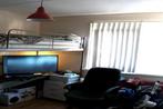 Kamer Alexandriëstraat in Rotterdam, Huizen en Kamers, Kamers te huur, 20 tot 35 m², Rotterdam