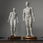 Anatomisch model (2) - Hout, Rubber - 1980-1990 - Paar, Antiek en Kunst