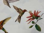 Il Giardino dei Colibrì – lichte elegantie op katoenen