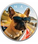 Canada. 5 Dollars 2025 Französische Bulldogge Zoomin in