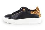 Cellini Sneakers in maat 38 Zwart | 10% extra korting, Kleding | Dames, Schoenen, Verzenden, Zwart, Cellini, Sneakers of Gympen