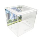 Capital Square (Arena 20x20x20), Dieren en Toebehoren, Insecten en Spinnen