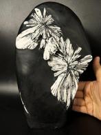 Natuurlijke chrysantemum kristalbloem – zeldzame grote bloem