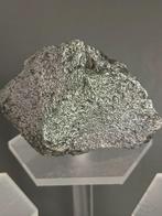 Campo del Cielo meteorite Ruw - 291 g - (1), Verzamelen, Mineralen en Fossielen