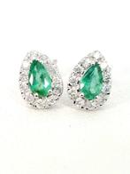 Oorbellen - 18 karaat Witgoud Smaragd - Diamant, Nieuw