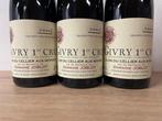 2009 Domaine Joblot, Givry 1er Cru Clos du Cellier Aux, Nieuw