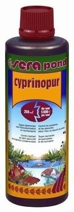 Sera koi pond Cyprinopur 500 ml (10.000 liter vijver), Tuin en Terras, Verzenden, Nieuw, Overige typen