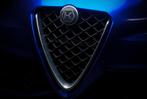 Alfa Romeo Giulia Embleem Carbon Fiber cover, Auto diversen, Verzenden