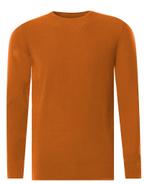-60% J.C. Rags  J.C. Rags James trui ronde hals  maat M, Kleding | Heren, Truien en Vesten, Verzenden, Nieuw, Oranje