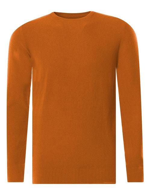 -60% J.C. Rags  J.C. Rags James trui ronde hals  maat M, Kleding | Heren, Truien en Vesten, Oranje, Nieuw, Verzenden