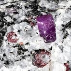 Hoogwaardige duifbloedrode robijn en phlogopiet uit India -, Verzamelen, Mineralen en Fossielen