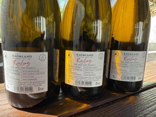 2018 Raumland, Riesling Sekt Brut - Rheinhessen Deutscher, Verzamelen, Wijnen