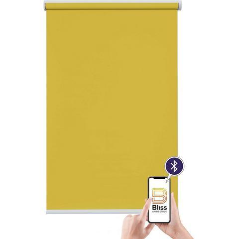 sunlines Elektrisch rolgordijn New York met app, Huis en Inrichting, Stoffering | Gordijnen en Lamellen, Nieuw, Verzenden