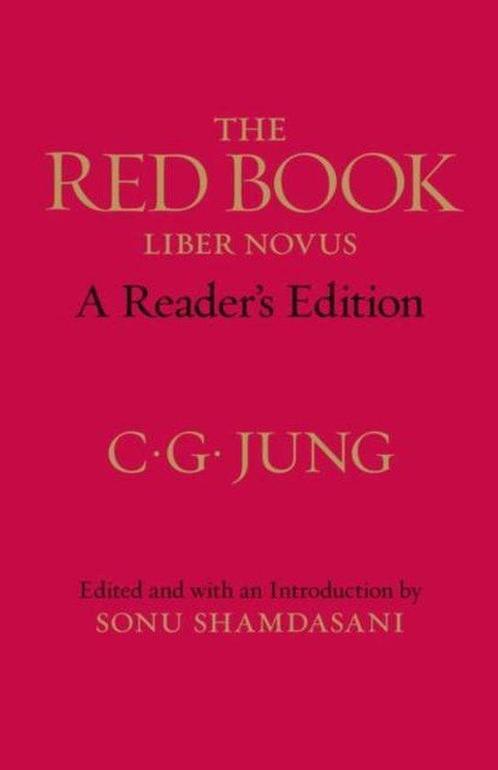 9780393089080 Red Book C G Jung, Boeken, Psychologie, Nieuw, Verzenden