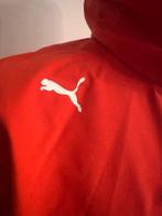 Ferrari - Formule 1 - Rain Jacket Corse Clienti - 2024 -, Nieuw