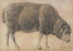 Anton Mauve (1838-1888), ‘Studie van een schaap’