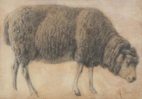 Anton Mauve (1838-1888), ‘Studie van een schaap’, Antiek en Kunst, Kunst | Tekeningen en Foto's