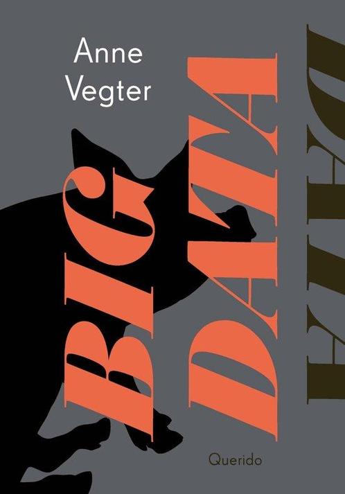 9789021417257 Big data | Tweedehands, Boeken, Studieboeken en Cursussen, Gelezen, Verzenden