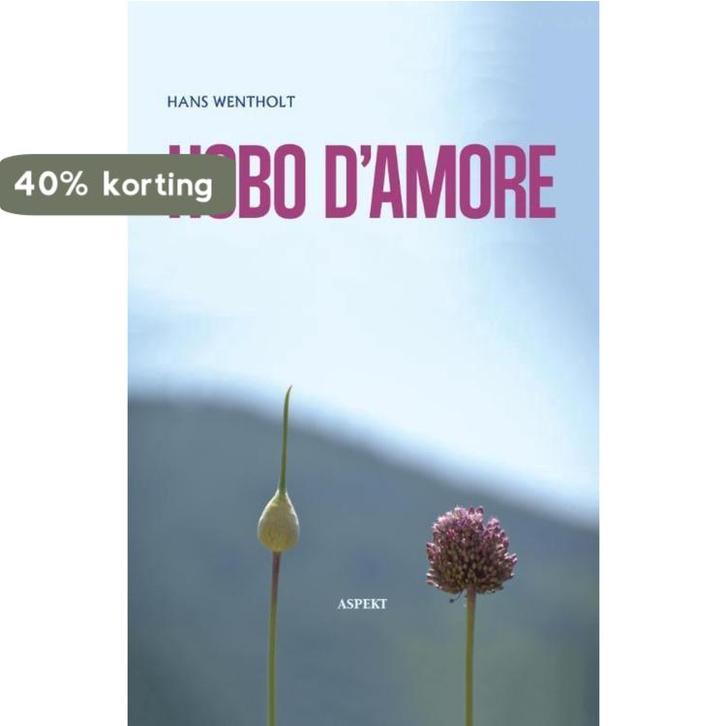 Hobo damore 9789461538383 Hans Wentholt, Boeken, Literatuur, Gelezen, Verzenden