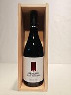 2011 Bodegas Dominio de Cair, Pendón de la Aguilera - Ribera, Nieuw