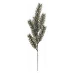 KerstGroen tak DennenGroen 66cm. KerstGroen tak, Ophalen of Verzenden, Nieuw