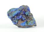 Grote Azuriet Met Malachiet Kristallen op matrix - Hoogte:, Verzamelen, Mineralen en Fossielen