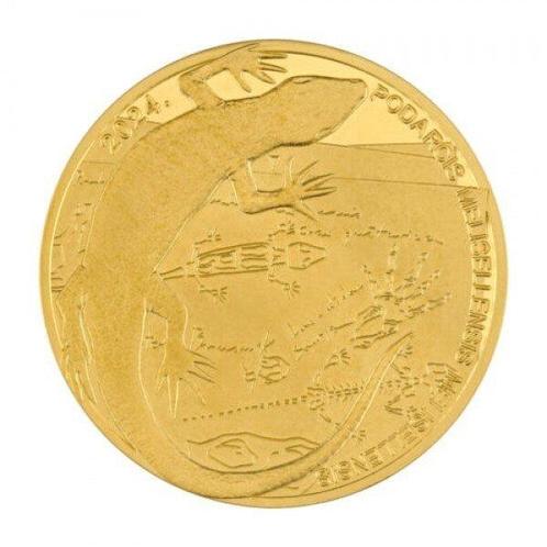 Kroatië. 2024 1/16 oz -1.94g Gold Croatia 10 Euro “Black, Postzegels en Munten, Edelmetalen en Baren