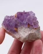 Ongewoon gekleurde fluoriet op kalksteen - Hoogte: 4.4 cm -