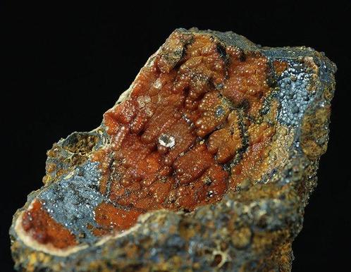 Rhodochrosiet, goethiet en aragoniet in fossiele schelp, Verzamelen, Mineralen en Fossielen