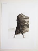 Herb Ritts (1952-2002) - Versace Veiled Dress. El Mirage.