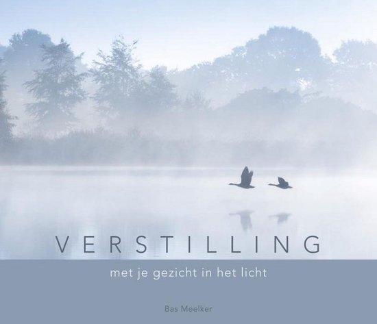 9789493198180 Verstilling Bas Meelker, Boeken, Studieboeken en Cursussen, Nieuw, Verzenden