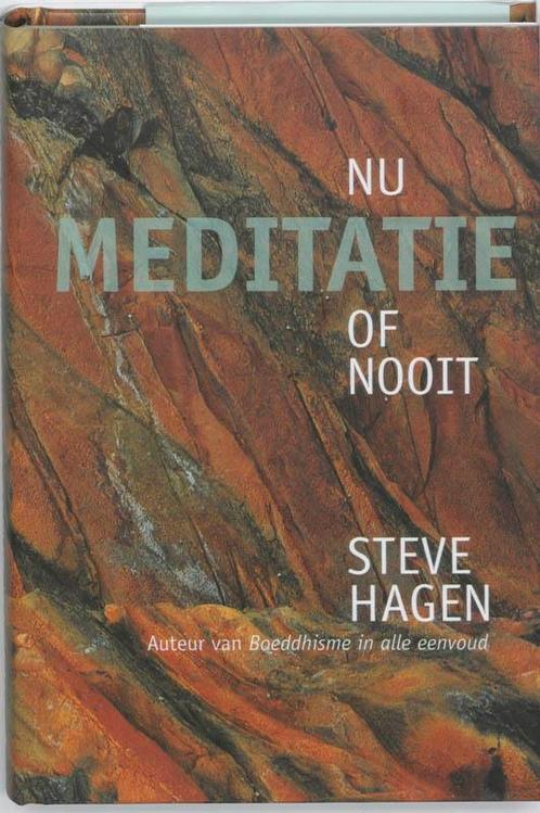 Meditatie nu of nooit 9789069638188 Steve Hagen, Boeken, Esoterie en Spiritualiteit, Gelezen, Verzenden