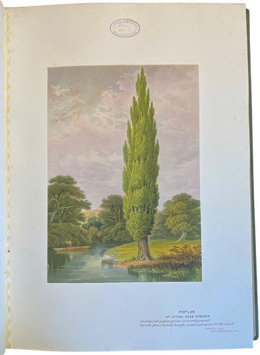William Menzies - Forest Trees and Woodland Scenery as, Antiek en Kunst, Antiek | Boeken en Bijbels
