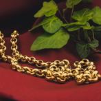 Gouden jasseron schakel ketting | 45,5 cm, Sieraden, Tassen en Uiterlijk, Kettingen, Goud, Gebruikt, Ophalen of Verzenden, Overige kleuren