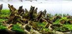 Natuurlijke decoratie rotsen! Aquarium deco stenen, aquarock, Dieren en Toebehoren, Vissen | Aquaria en Toebehoren, Nieuw, Sierelement