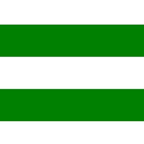 Rotterdam Vlag (Flags), Diversen, Vlaggen en Wimpels, Nieuw, Verzenden