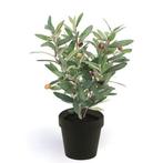 Kunstplant olijfboompje groen in zwarte pot 35 cm  - Overi.., Verzenden