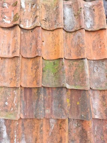 Gebruikte Oud Hollandse dakpannen rood beschikbaar voor biedingen