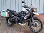 Triumph Tigers,  Speed/Street Triples, en Retros !!!, Motoren, Motoren | Triumph, Meer dan 35 kW