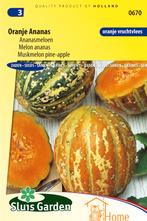 Oranje Ananas Ananasmeloen Zaden: Grow Sweet, Juicy Melons, Tuin en Terras, Verzenden