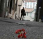 cd digi - Peter Mulvey - Notes From Elsewhere, Verzenden, Zo goed als nieuw