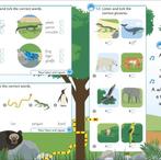 English for Everyone Junior Beginners Co 9780241415047 Dk, Verzenden, Zo goed als nieuw, Dk