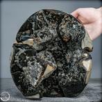 Natuurlijke septaria druse met calcietkristallen - Van