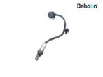 Lambda Sonde Honda CRF 1000 2016-2017 Africa Twin DCT, Verzenden, Gebruikt