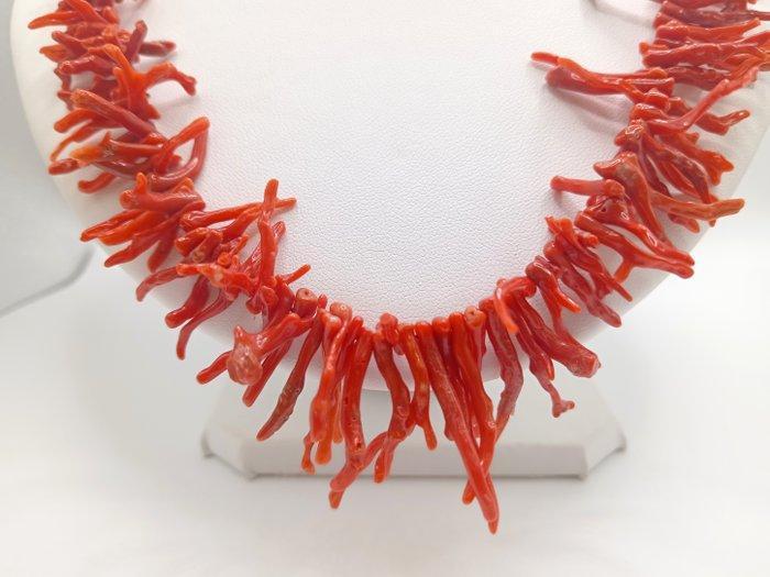 Bloedkoraal Koraal - Corallium rubrum (Zonder Minimumprijs), Verzamelen, Mineralen en Fossielen