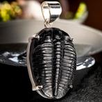 Trilobiet - Exclusieve Zilveren Hanger - Elrathia Kingii -, Nieuw