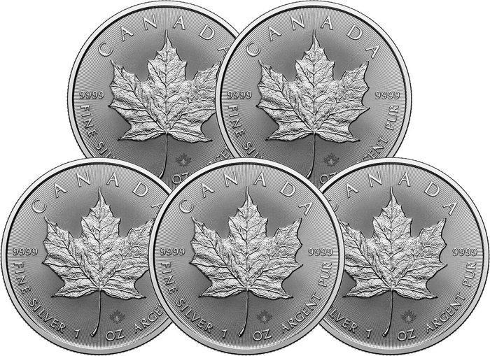 5 Troy Ounce - Zilver .999 - Maple Leaf 2026 - 155,5 gram -, Postzegels en Munten, Edelmetalen en Baren