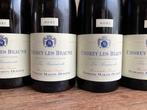 2021 Domaine Martin Dufour Les Beaumonts -, Nieuw