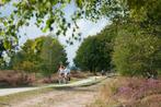 LAST-MINUTE Holten | Natuur, heide, bos 2025, Vakantie, Vakantiehuizen | Nederland, Overijssel, Huisdier toegestaan, Landelijk